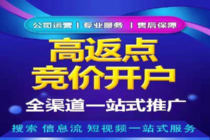 百度竞价广告的关键词策略与优化——以某行业为例